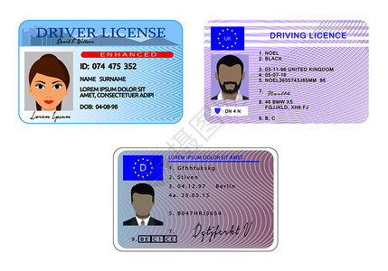 生产许可证3个带有照片汽车驾驶执照的平面图插画