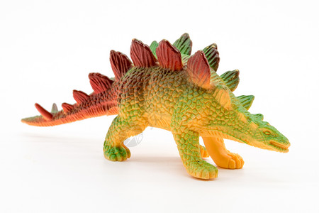绿色恐龙白色背景上的stegoaur玩具模型背景