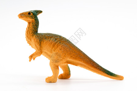 鲟龙鱼白色背景的paruophs恐龙玩具模型背景