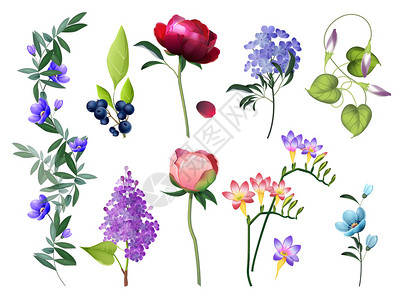 矢量花朵植物树叶元素背景图片
