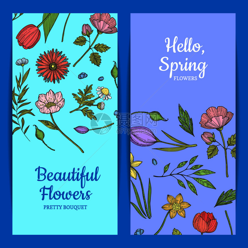 花朵横幅和卡片花卉横幅插图图片