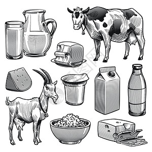 挤奶油手工提取奶制品农牛和山羊奶制品农牛和山羊奶健康新鲜产品奶油和山羊健康新鲜产品奶油和山羊制品油和山羊制品插画