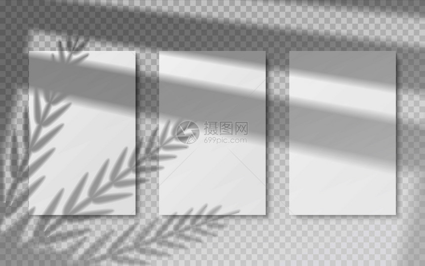 热带叶和窗口框的矢量透明图像图片