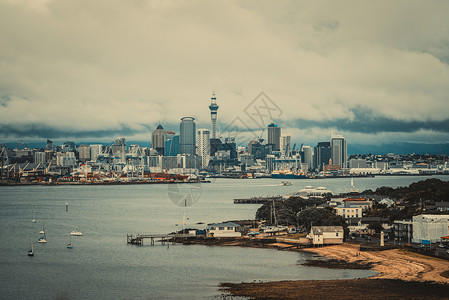 新西兰捕鱼码头和奥克兰市中心天空塔图片