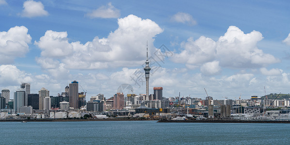 德文波特蓝天下的奥克兰市中心天空塔背景