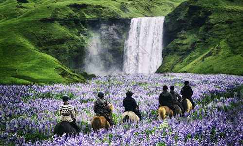 在斯科加福瀑布下的花海中骑着马高清图片