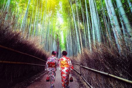 穿着传统的日本和服旅行者图片