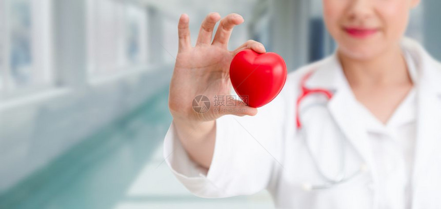心脏病专家手拿着爱心图片
