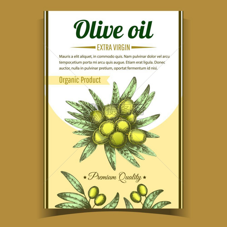 有机橄榄油海报插图图片