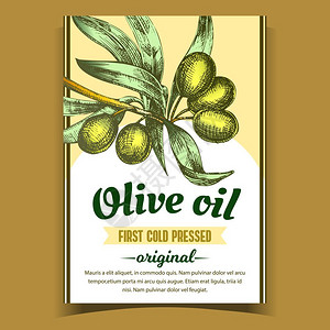 有机橄榄油海报插图图片