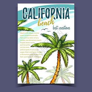 热带棕榈树彩色广告海报设计传单插图图片