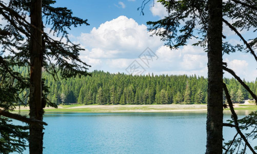 湖泊和森林的全景观图片