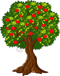 脆甜红苹果挂满红苹果的树插画