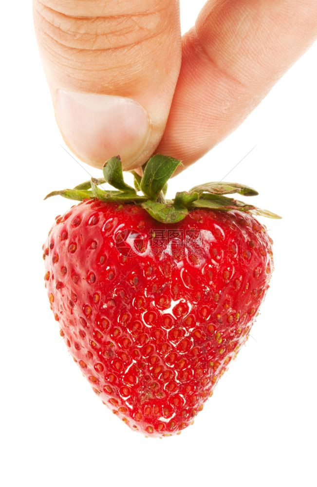 手指抓着一颗草莓图片