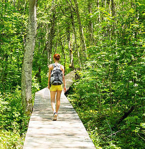 背包女人在森林里走着图片
