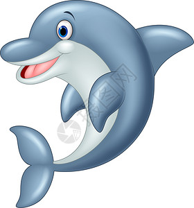 海豚矢量插图高清图片