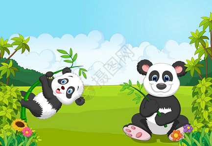 丛林中的熊猫背景图片
