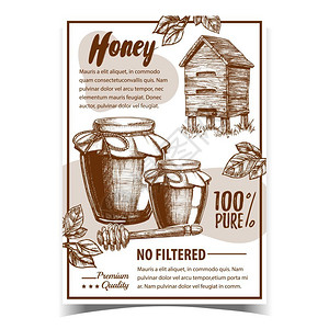 蜂蜜海报蜂蜜窝带产品的玻璃容器蜂蜜汤匙和广告横幅上的绿叶新鲜有机单色插图插画
