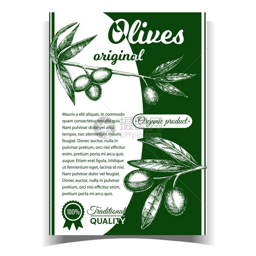 传统意大利质量优成熟橄榄和垂直广告传单复古风格金奖树脂单色图示上的营养橄榄原有机产品招贴画矢量图片