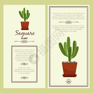 萨瓜罗花盆里的植物仙人掌矢量插画贺卡插画