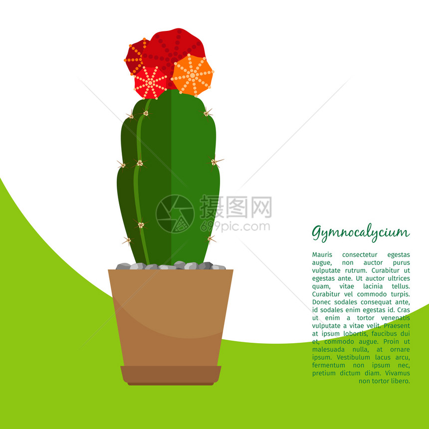 花盆里的植物仙人掌矢量插画图片