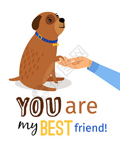 宠物点赞手指你是我最好的朋友贺卡模板矢量图人类手握狗爪插画