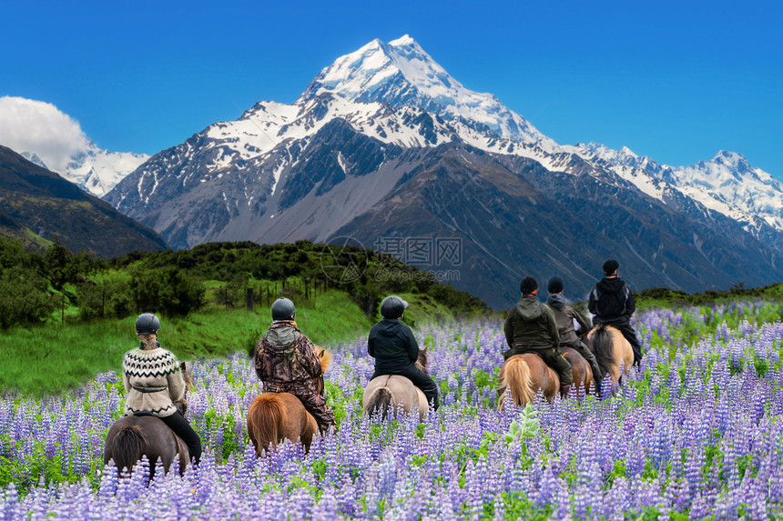 旅行者们在新西兰公园花丛中骑马图片
