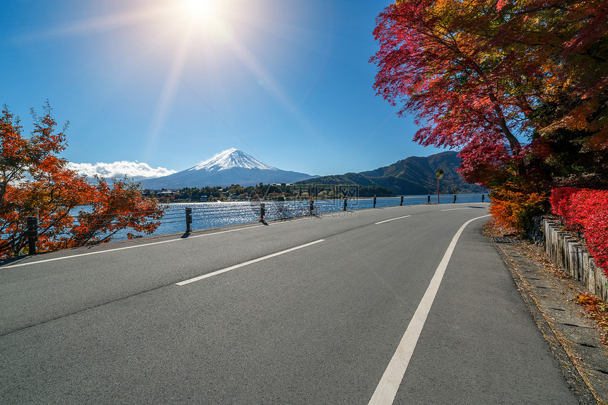 日本秋天的川口湖沿岸公路景色图片