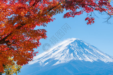 日本秋天的富士山景色图片