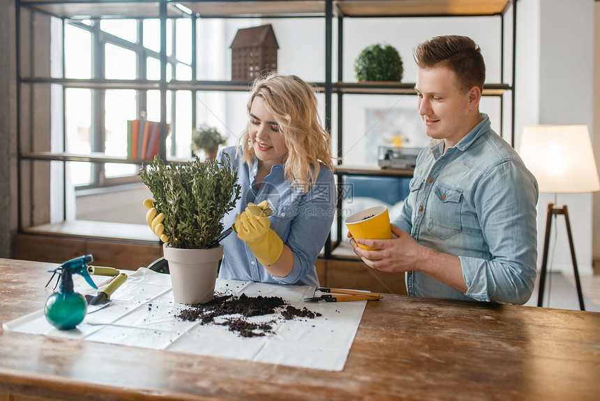 年轻夫妇种植家用盆栽图片