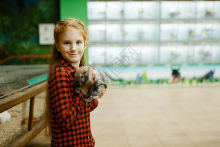 小女孩在宠物店和里抱着兔子图片
