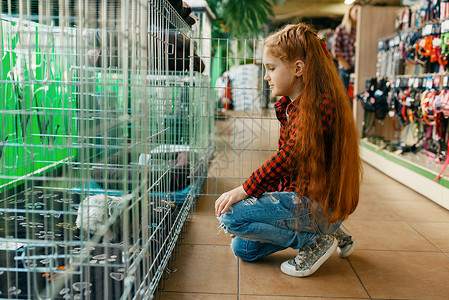 小女孩在宠物店购买笼子图片