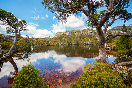 澳洲塔斯马尼亚州摇篮山公园自然景观图片