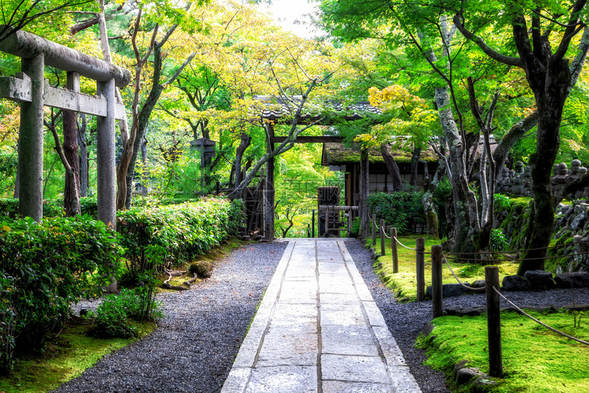 日本公园宁静的景象图片
