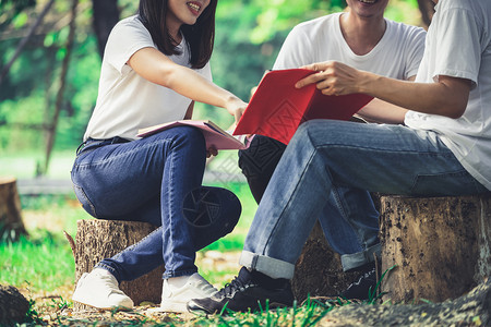 大学生在公园里学习交流图片