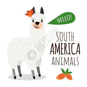 智利民族卡通可爱羊驼插画