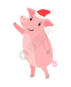 圣诞或新年红猪在圣塔帽子中的粉红猪矢量说明新年猪在圣塔帽子中图片