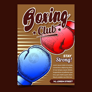 拳击手保护动运设备套用于战斗拳击手保护动运设备套拳击辅助模板用古典风格的彩色插图设计拳击运动俱乐部宣传海报图片