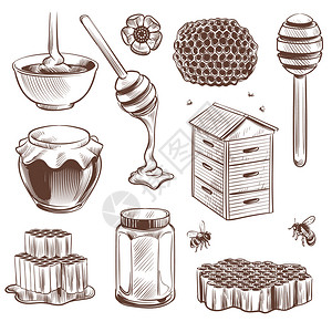 蜜蜂png蜂蜜花粉和蜂蜜矢量元素设计图片
