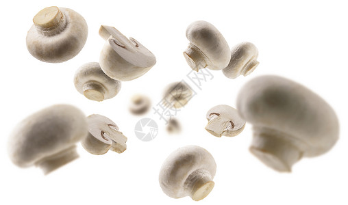 白色蔬菜蘑菇图片