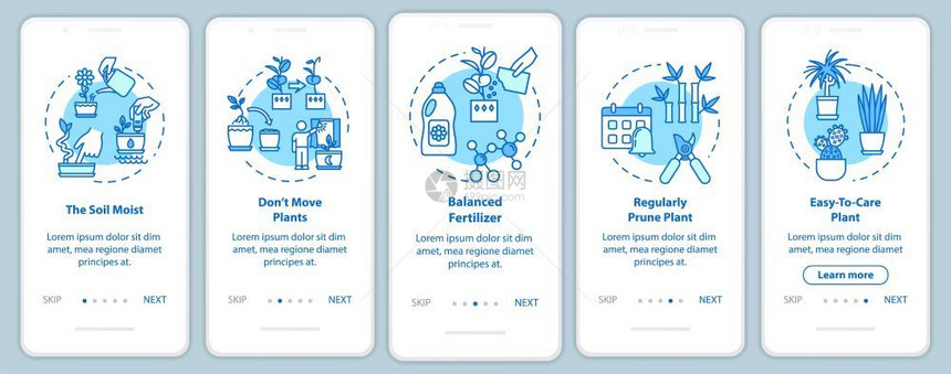 安装在移动应用程序页面屏幕上的植物护理带有概念suclents和cai草药种植通过五步图示指ui矢量模板带有rgb颜色插图图片