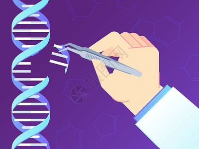 卡斯9基因编辑人类遗传工程矢量图插画