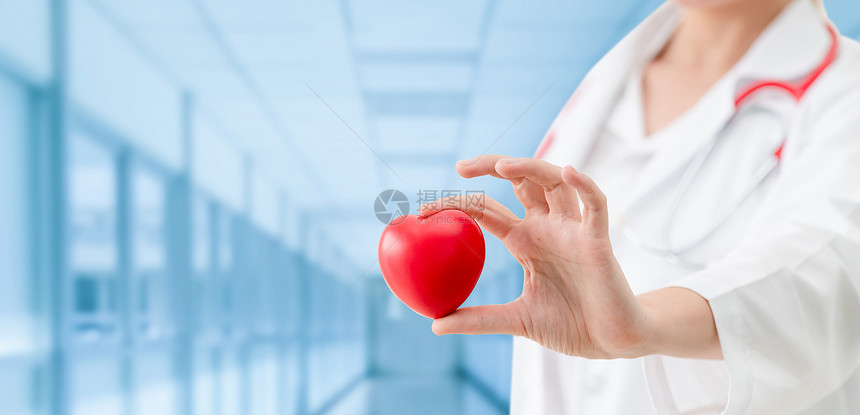 心脏病专家手拿着爱心图片