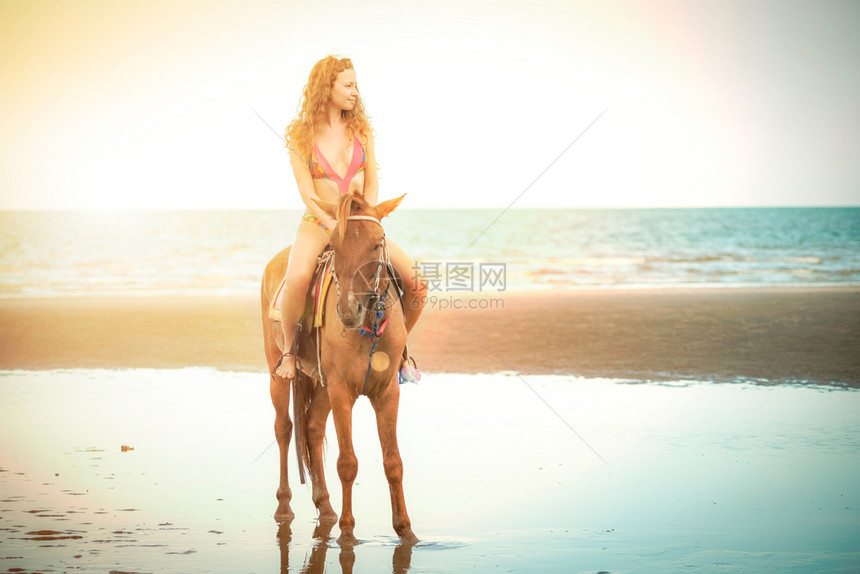穿着泳衣的美女在海滩骑马图片