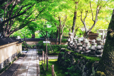 日本和平的公园，放松和宁静的自然景观图片