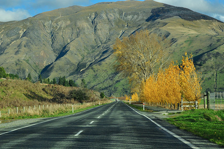 普利茅斯路在新西兰的公路直通山顶的公路背景