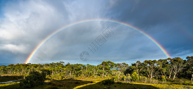 在澳洲塔斯马尼亚的曼半岛上的彩虹图片