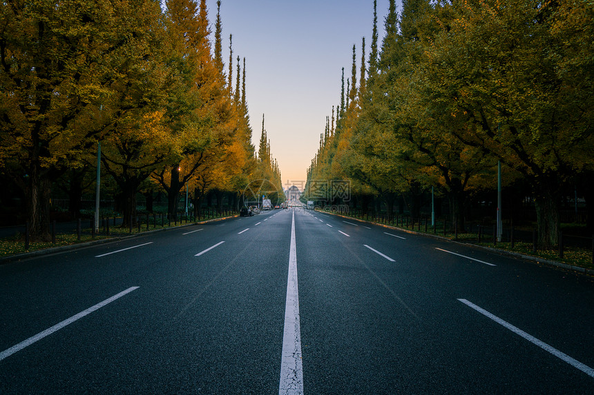 日本东京的公路图片