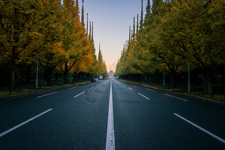 日本东京的公路图片