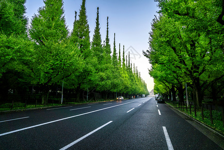 日本夏天的柏油马路图片
